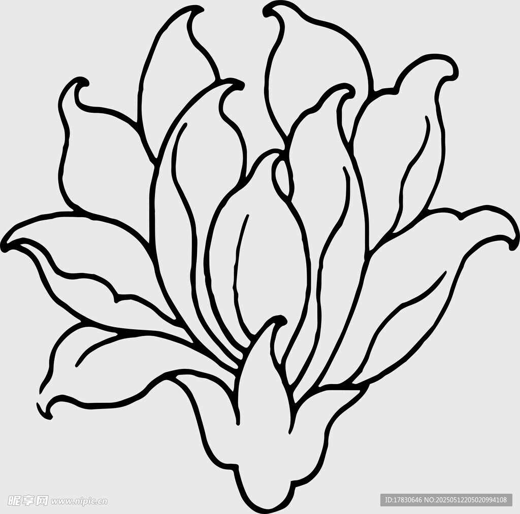 简约线条勾勒的花卉图案