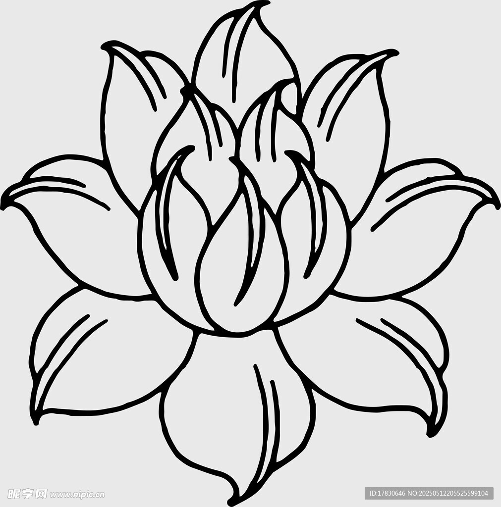 简约线条莲花图案