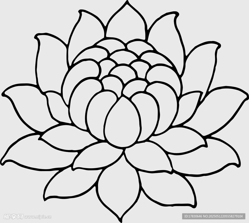 简约线条莲花图案