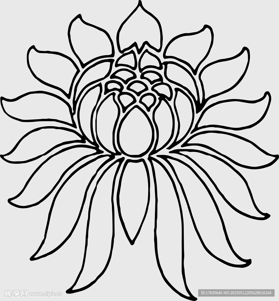 简约线条莲花图案