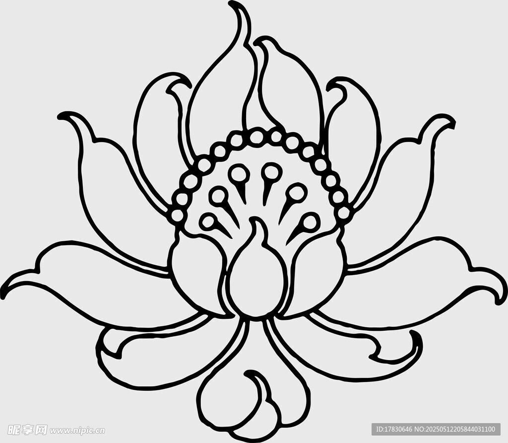 简约线条莲花图案设计
