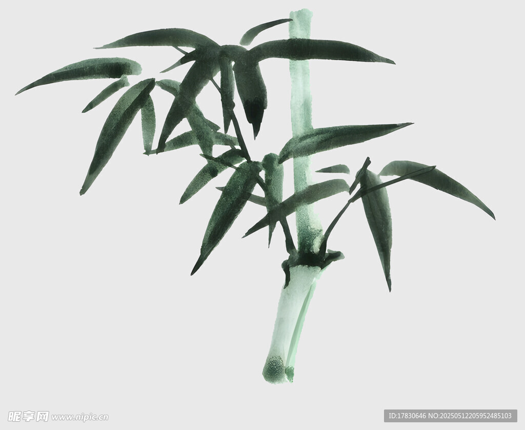水墨风单枝翠竹插画