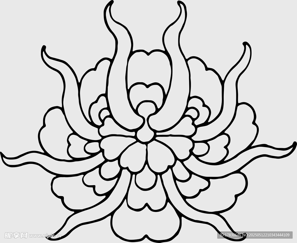 手绘菊花线稿图案