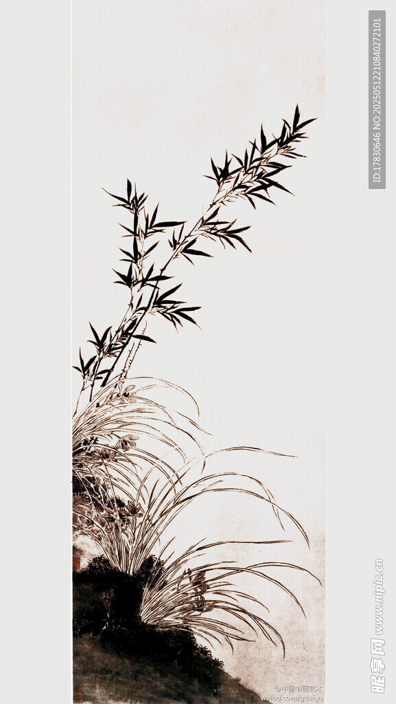 水墨兰草图