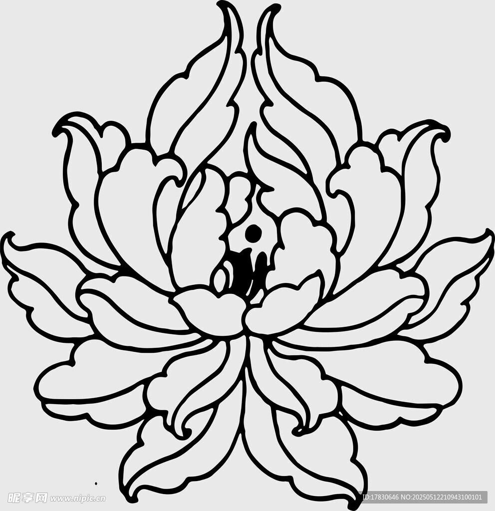 黑白莲花图案
