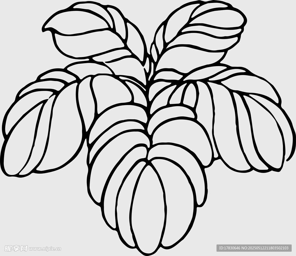 手绘叶片植物线条图案