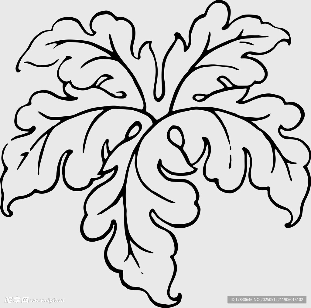 手绘植物叶片图案