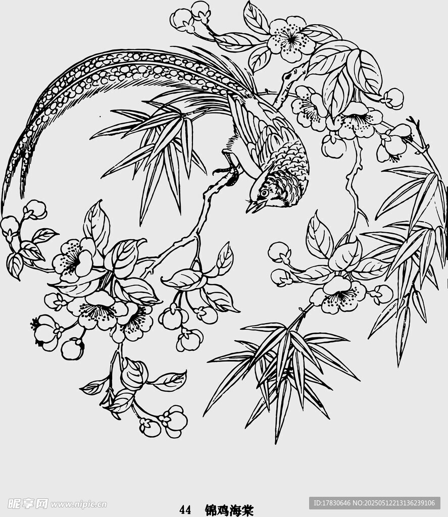 花鸟工笔线描图