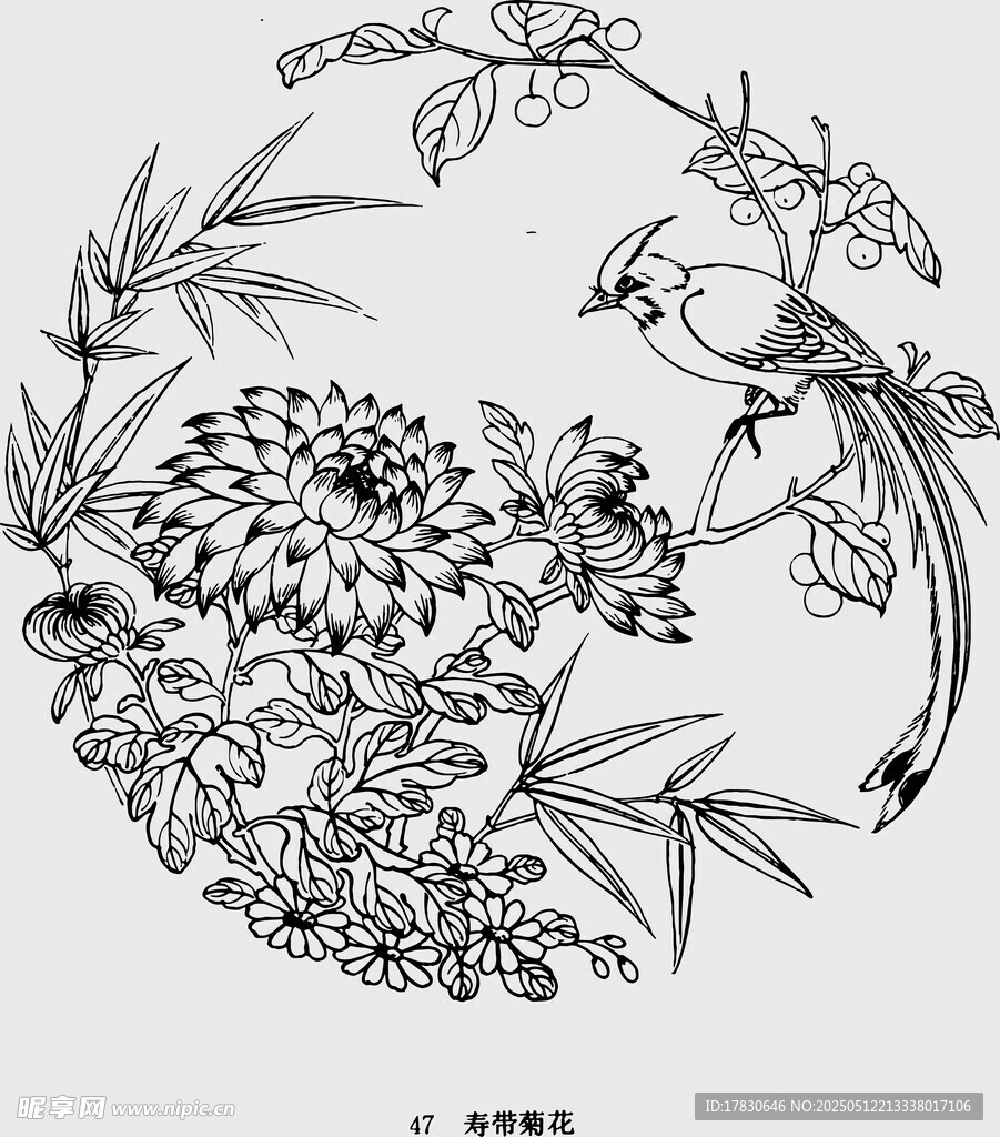 花鸟菊花中式传统图案