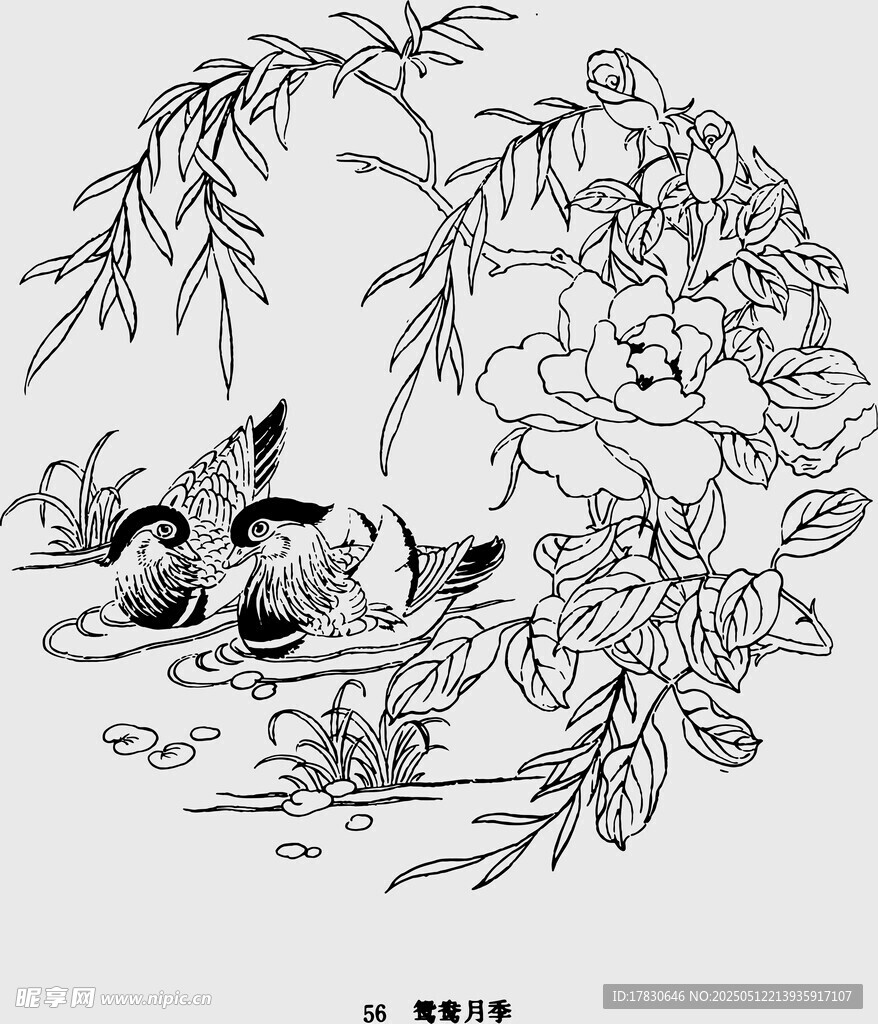 鸳鸯牡丹图