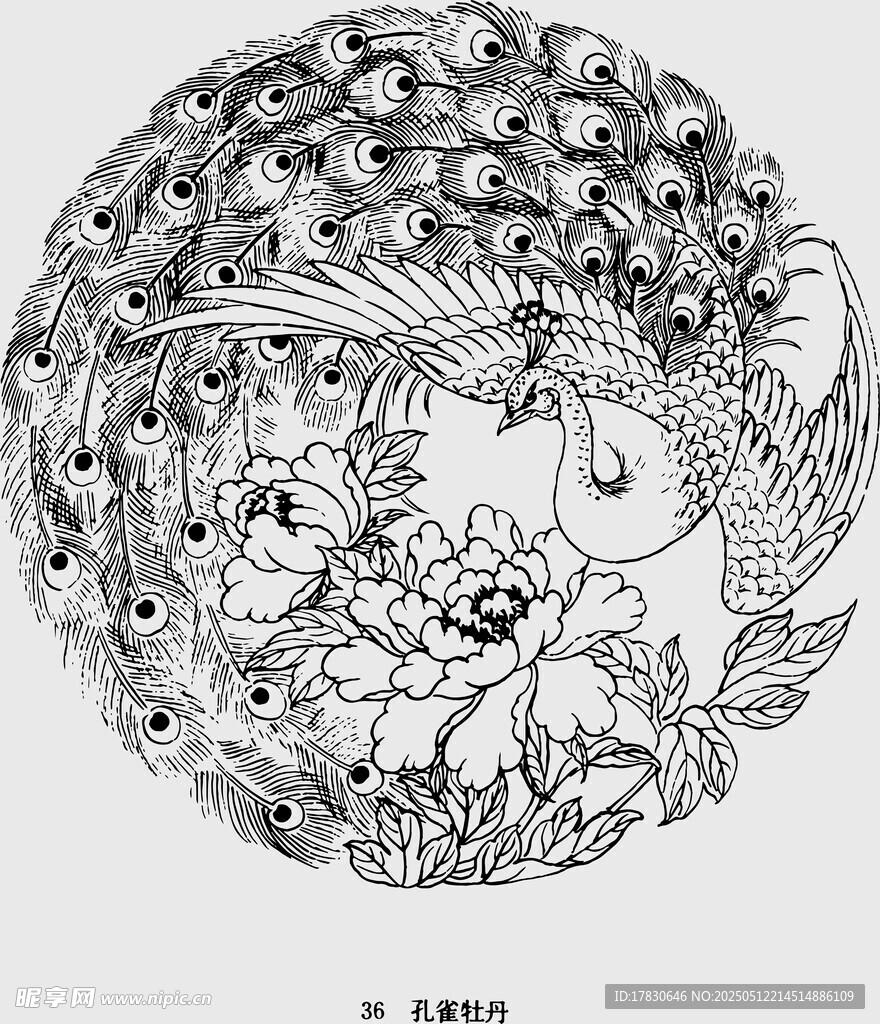 传统凤凰牡丹纹圆形图案