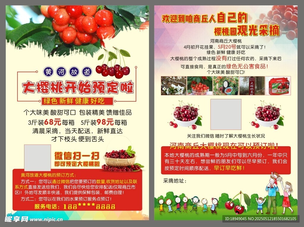 樱桃宣传页
