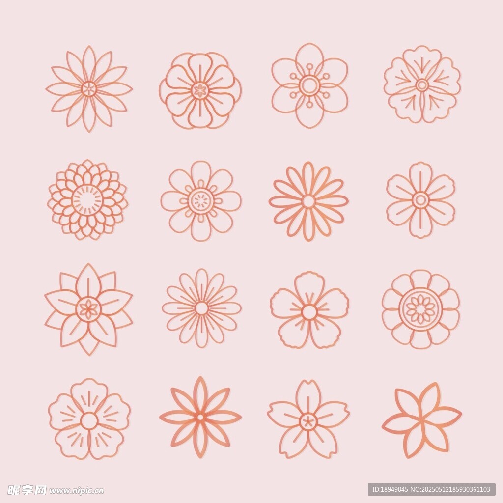 简约线条花朵图案集合