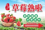 草莓熟了