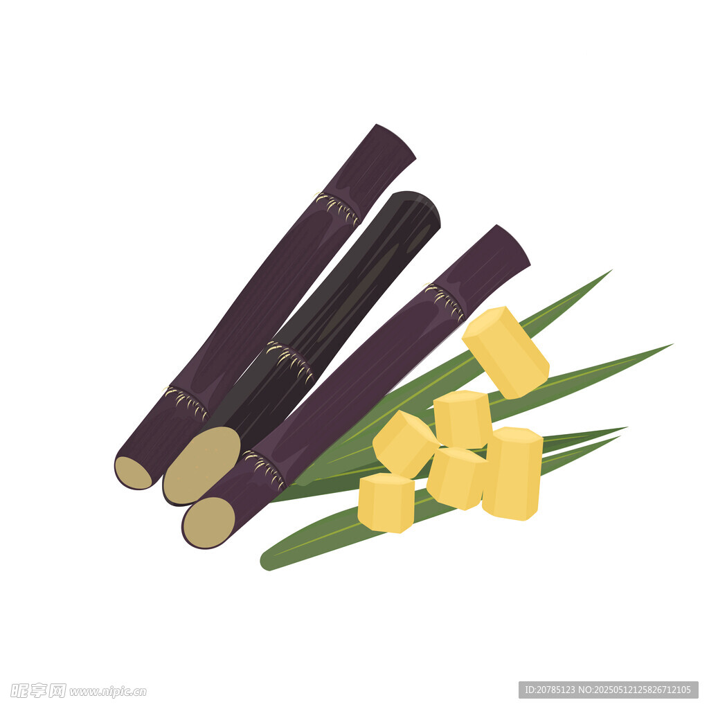 甘蔗与花朵插画
