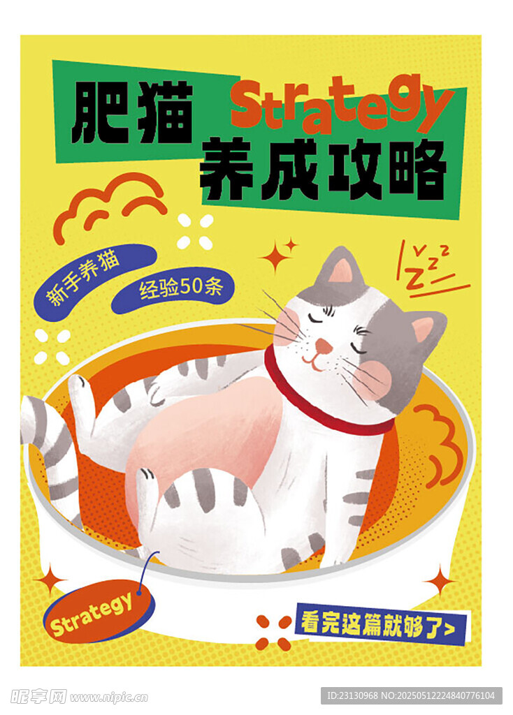 养猫攻略海报
