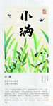 二十四节气海报 小满