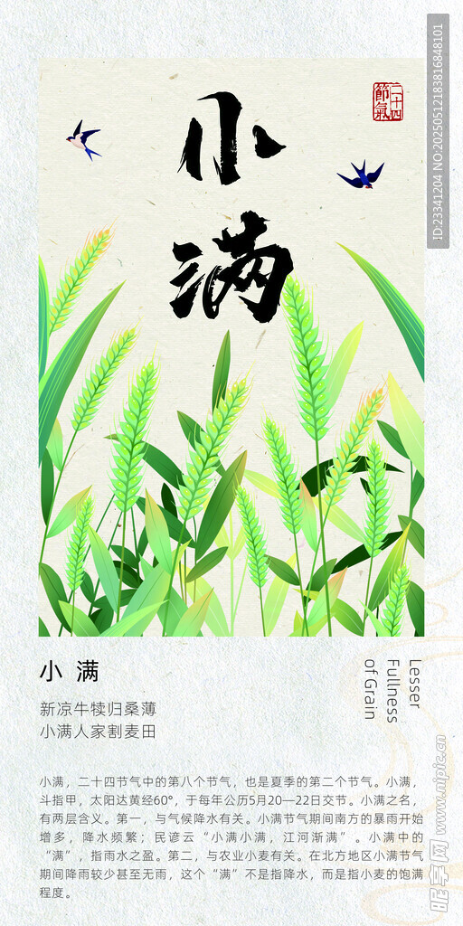 二十四节气海报 小满