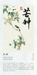 二十四节气海报 芒种