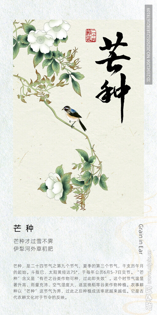 二十四节气海报 芒种