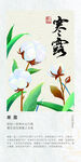 二十四节气海报 寒露