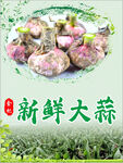 新鲜大蒜