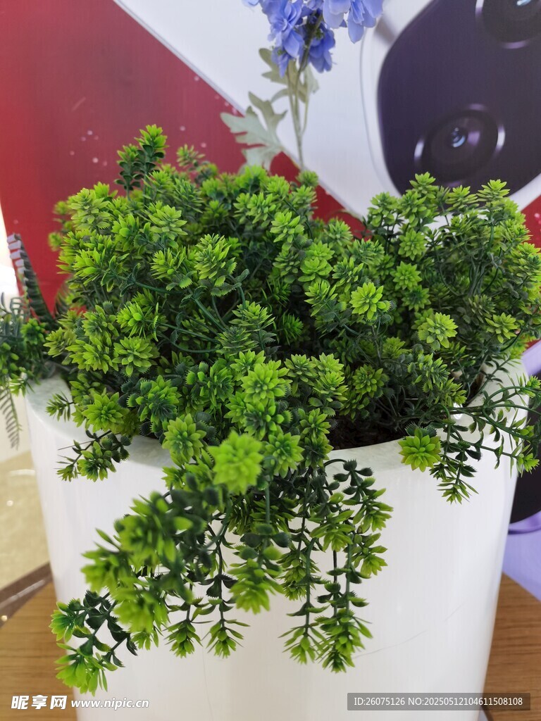 树脂绿植