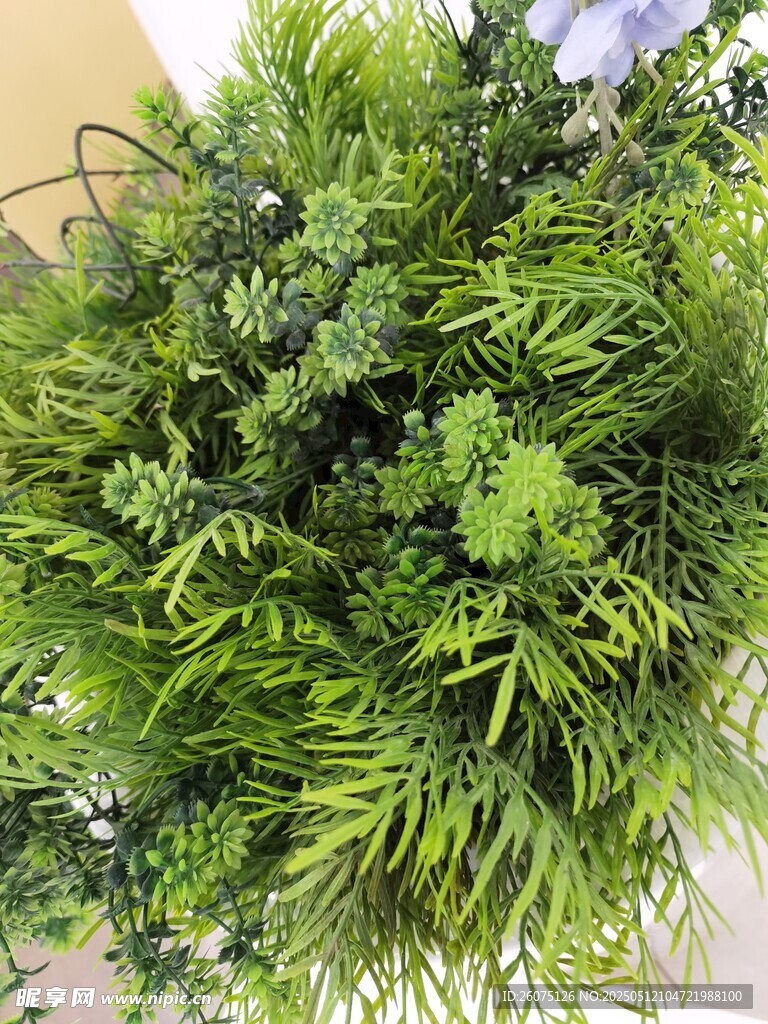 树脂绿植