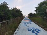 彩绘步道
