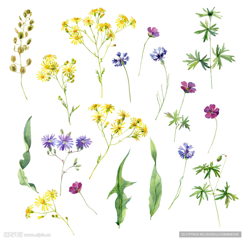 手绘花