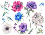 手绘花