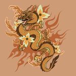 龙与花火焰