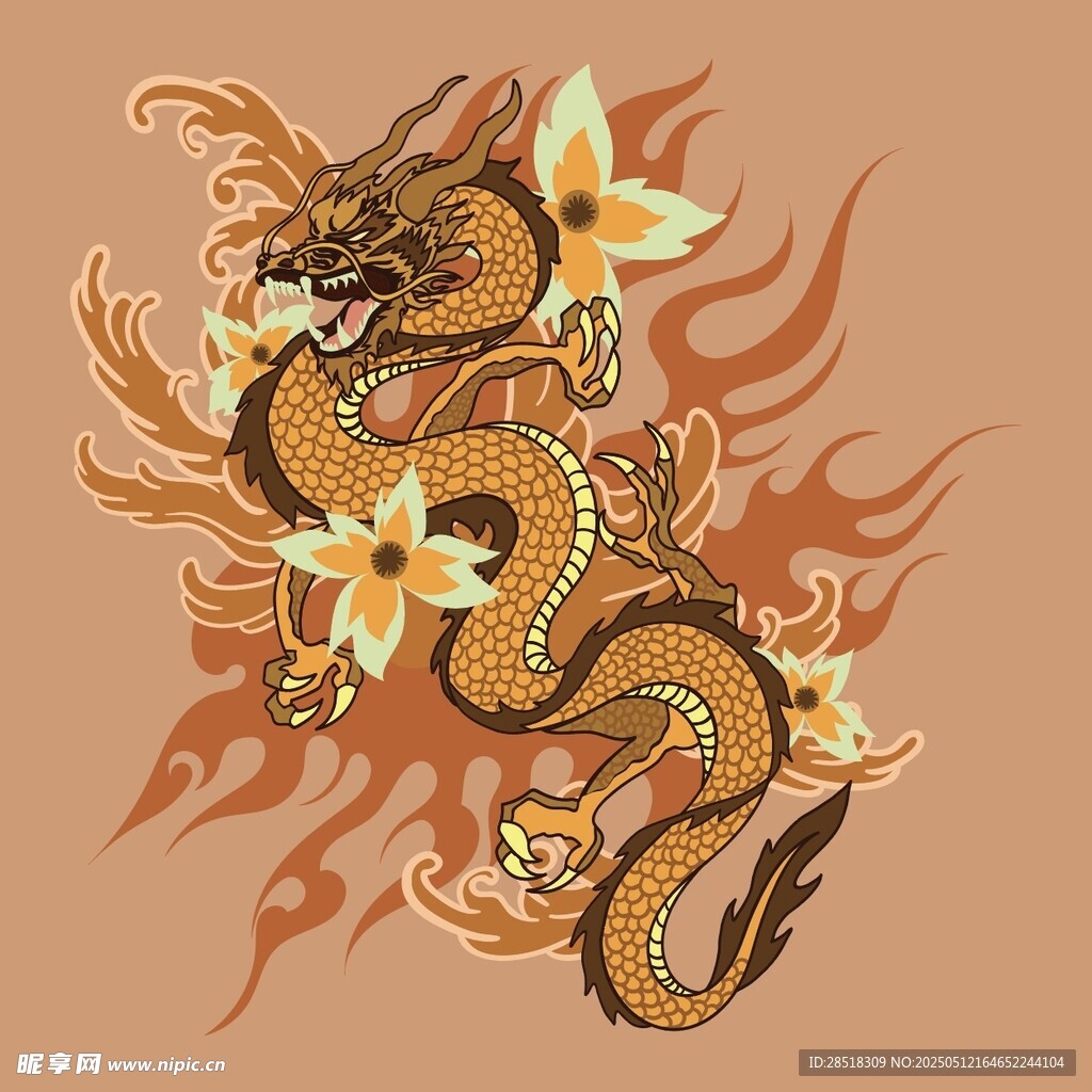 龙与花火焰