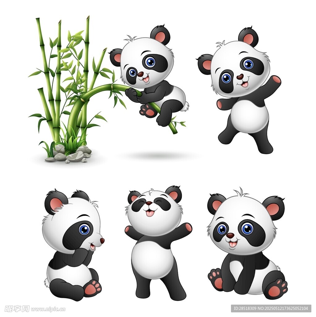 可爱熊猫姿态各异
