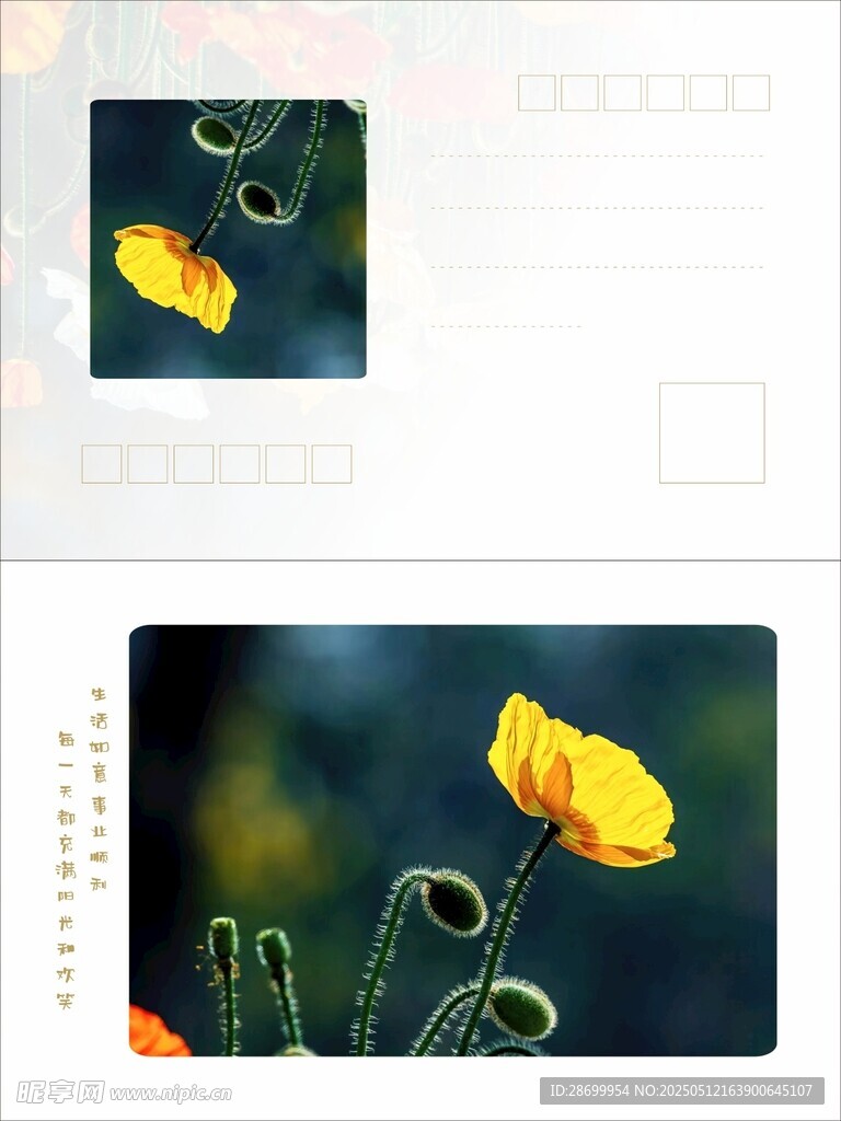 祝福贺卡