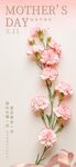 母亲节粉色花卉装饰