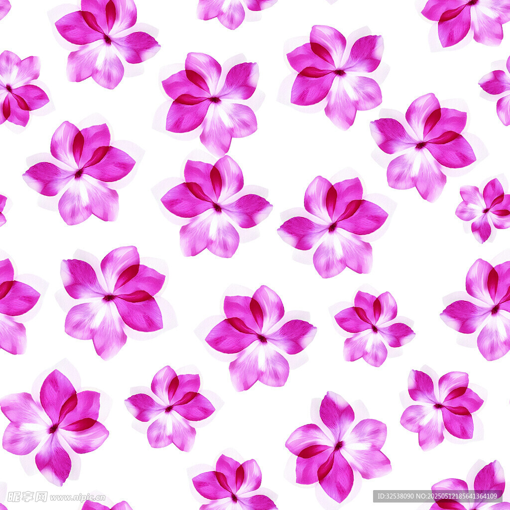花卉