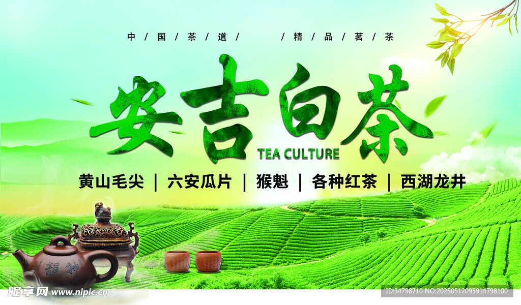 安吉白茶宣传图