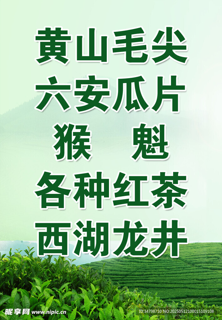 多样茶叶展示