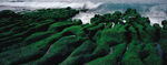 翠绿山峦云海景观