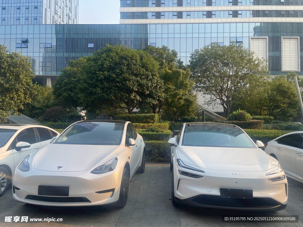 停车场中的两辆白色特斯拉