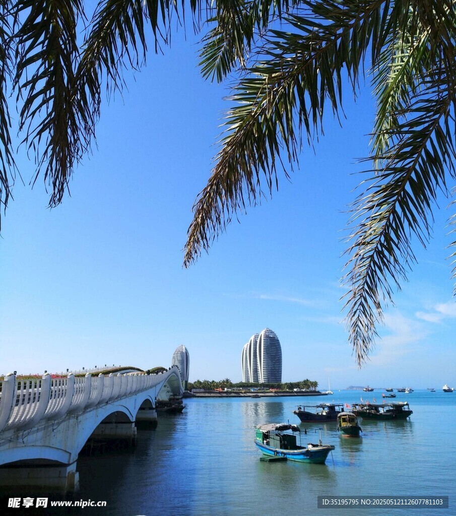 海滨美景桥船与棕榈树