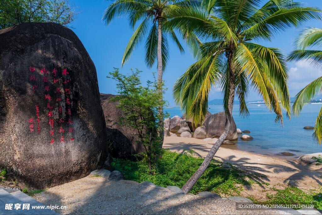 海边巨石与椰树美景