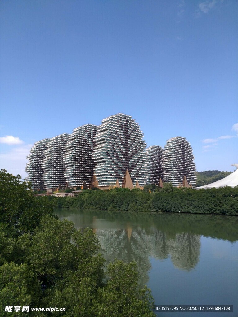 河畔独特树形建筑景观