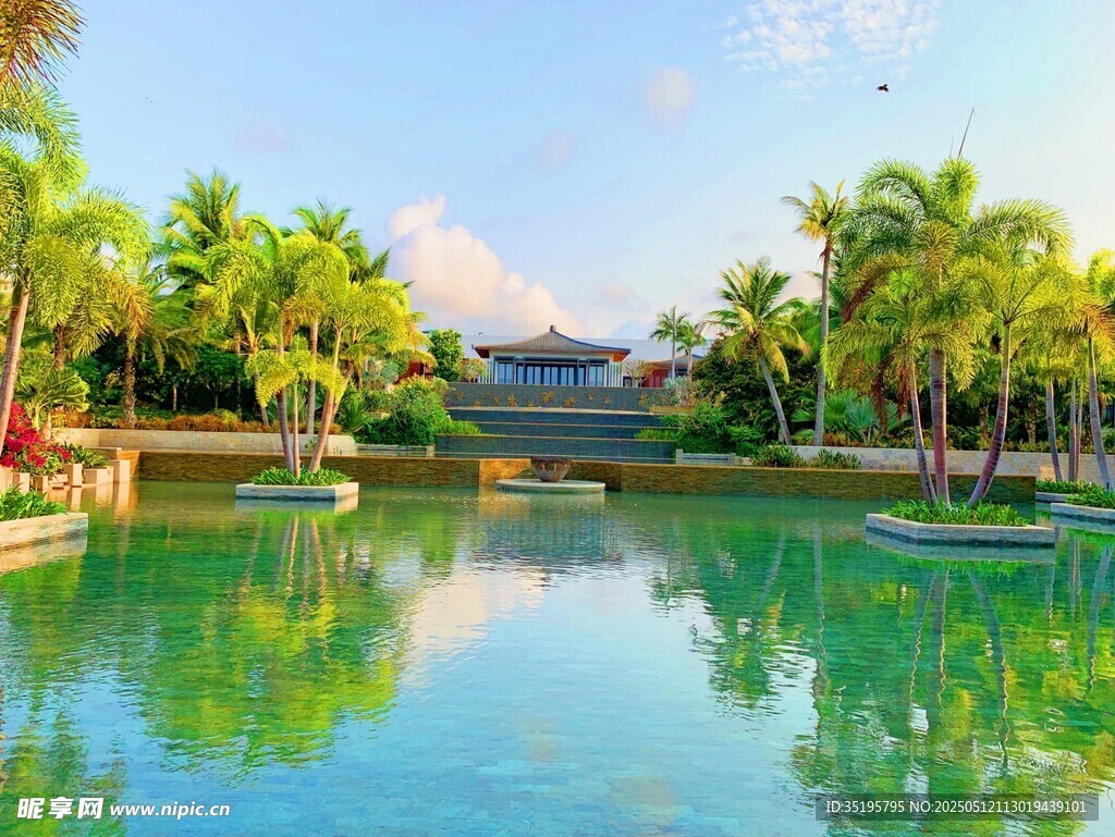 湖畔椰林环绕的静谧美景