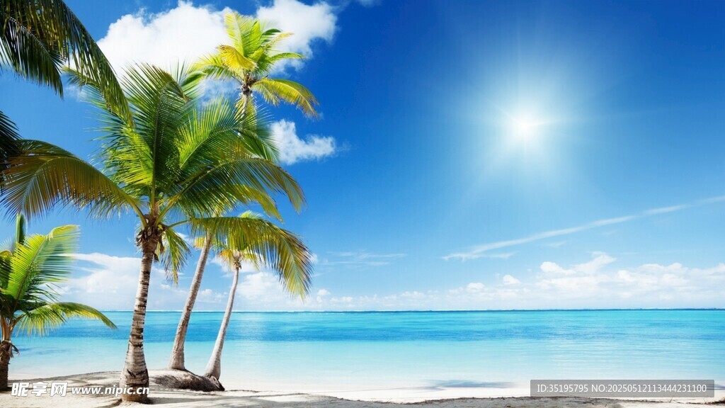 热带海滩风光 椰树蓝天