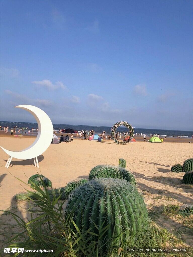 沙滩仙人掌与艺术装置景观