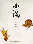 小满时节麦穗与谷物景象