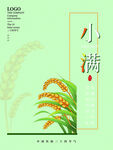 小满时节麦穗插画