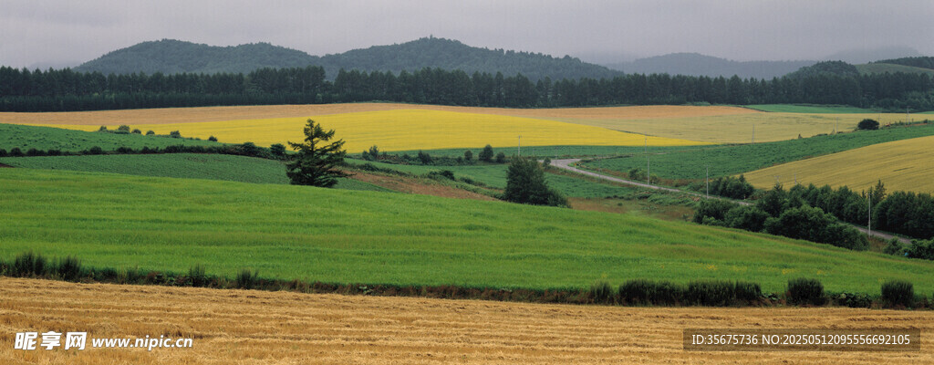 田园风光美景